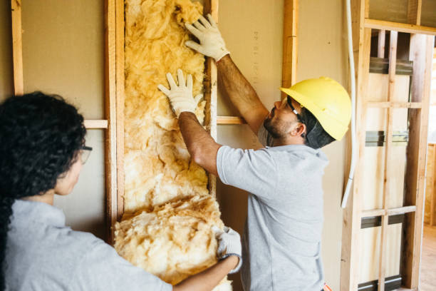 Professional Foam Insulation Services in Bamberg, SC